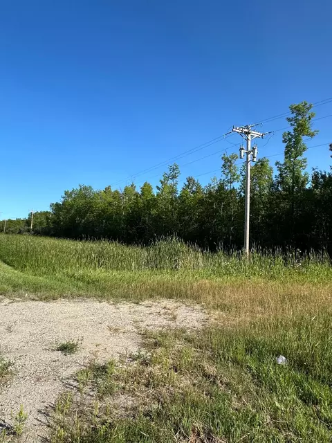 tbd Esh Acreage Highway 53, Ray, MN 56669 photo 3