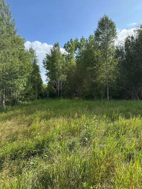 tbd Esh Acreage Highway 53, Ray, MN 56669 photo 16