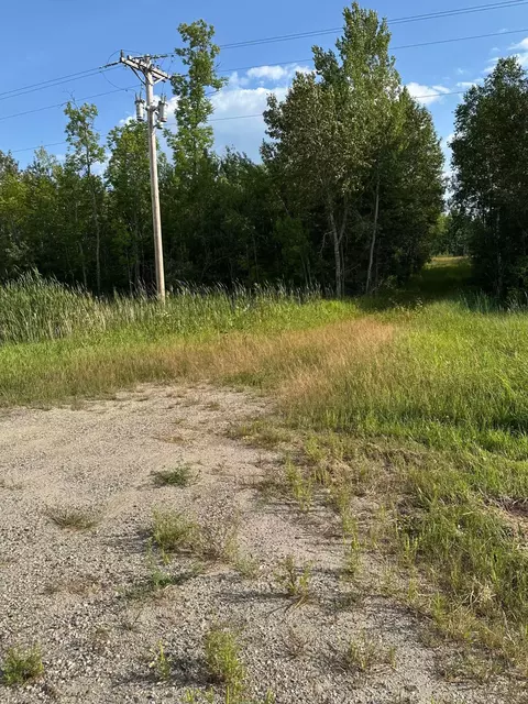 tbd Esh Acreage Highway 53, Ray, MN 56669 photo 20