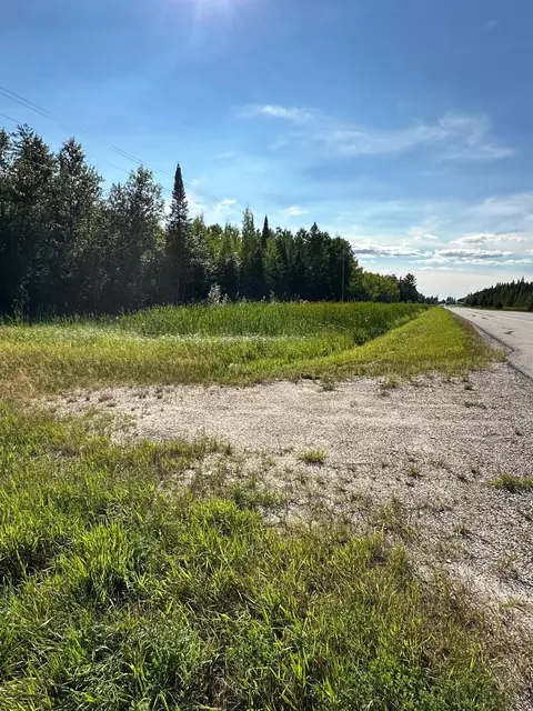 tbd Esh Acreage Highway 53, Ray, MN 56669 photo 4