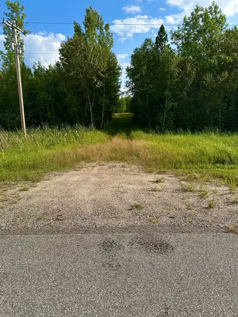 tbd Esh Acreage Highway 53, Ray, MN 56669 photo 2