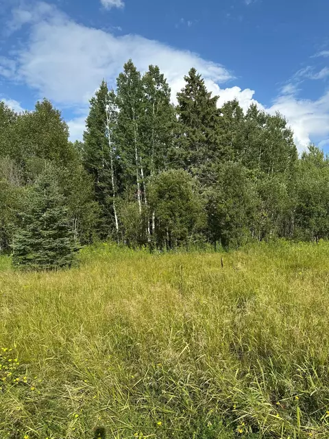 tbd Esh Acreage Highway 53, Ray, MN 56669 photo 11