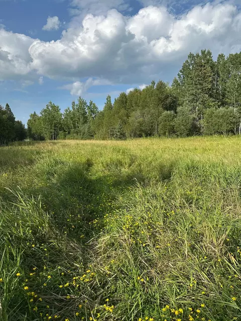 tbd Esh Acreage Highway 53, Ray, MN 56669 photo 12