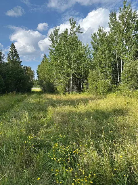 tbd Esh Acreage Highway 53, Ray, MN 56669 photo 9