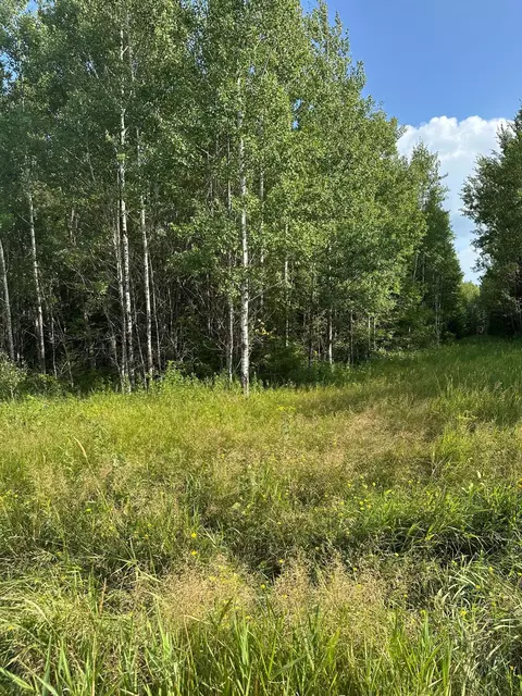 tbd Esh Acreage Highway 53, Ray, MN 56669 photo 15