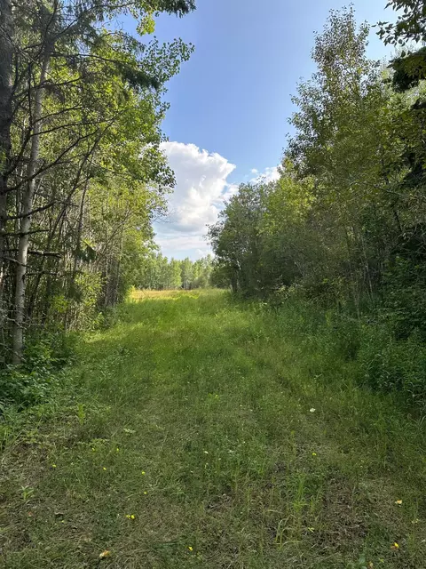 tbd Esh Acreage Highway 53, Ray, MN 56669 photo 6