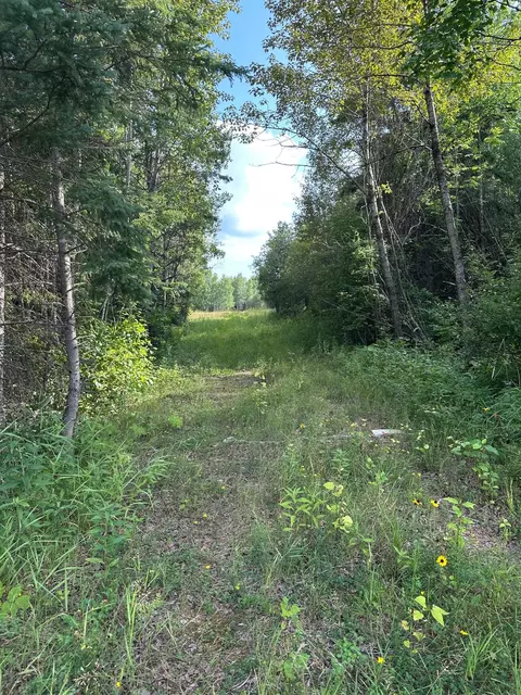 tbd Esh Acreage Highway 53, Ray, MN 56669 photo 5