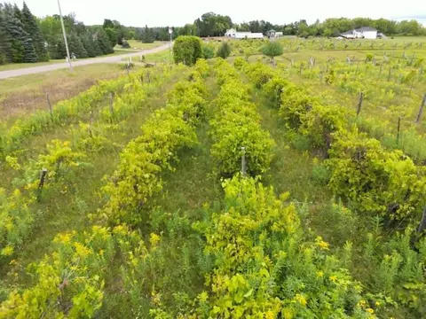 40306 Torchlight Rd, Isle, MN 56342 photo 39