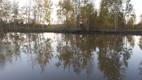 40306 Torchlight Rd, Isle, MN 56342 photo 44