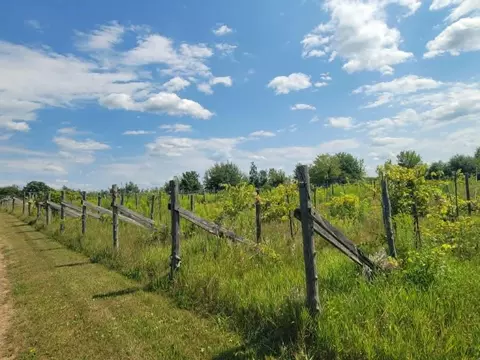 40306 Torchlight Rd, Isle, MN 56342 photo 36