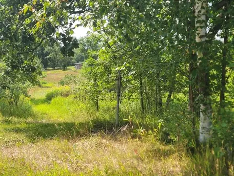 40306 Torchlight Rd, Isle, MN 56342 photo 28