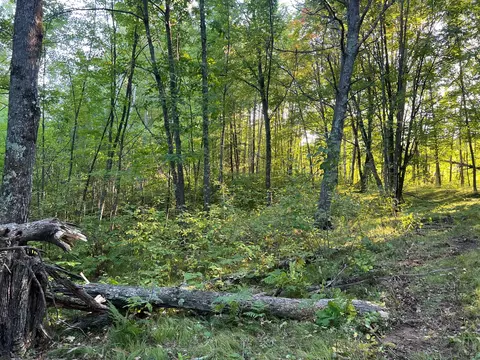 000 Dell Rd, Finlayson, MN 55735 photo 37