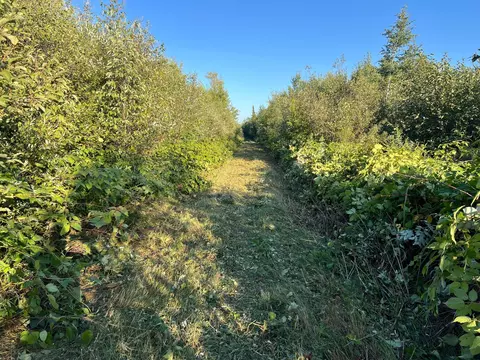 000 Dell Rd, Finlayson, MN 55735 photo 46