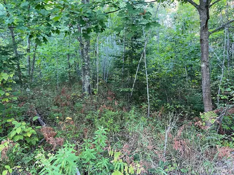 000 Dell Rd, Finlayson, MN 55735 photo 43