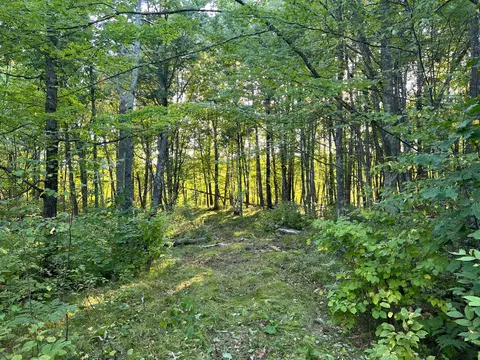 000 Dell Rd, Finlayson, MN 55735 photo 3