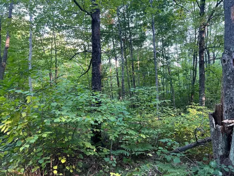000 Dell Rd, Finlayson, MN 55735 photo 38