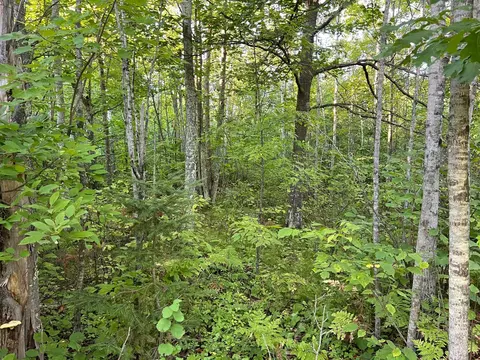 000 Dell Rd, Finlayson, MN 55735 photo 44