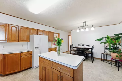 Kitchen - 243 E Dahlstrom Ave, Appleton, MN 56208 photo 5 of 5