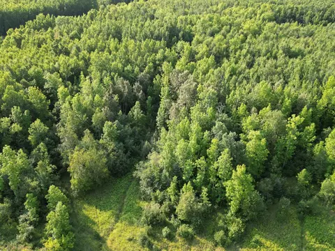4161 County Road 9, Littlefork, MN 56653 photo 5