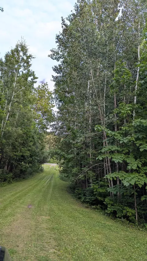 4161 County Road 9, Littlefork, MN 56653 photo 14