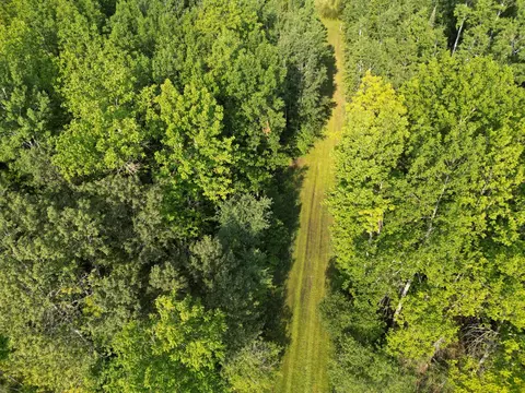 4161 County Road 9, Littlefork, MN 56653 photo 4