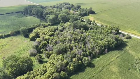 81581 275th St, Hollandale, MN 56045