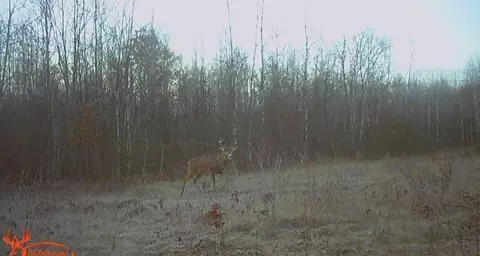 10501 N County Hwy M Hwy, Springbrook, WI 54875 photo 35