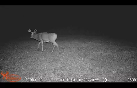 10501 N County Hwy M Hwy, Springbrook, WI 54875 photo 37