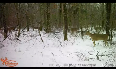10501 N County Hwy M Hwy, Springbrook, WI 54875 photo 33