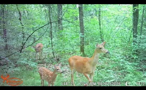10501 N County Hwy M Hwy, Springbrook, WI 54875 photo 29