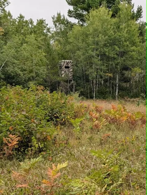 10501 N County Hwy M Hwy, Springbrook, WI 54875 photo 10