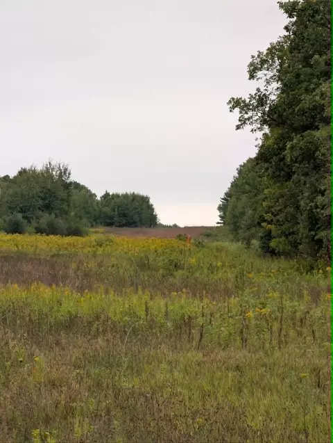10501 N County Hwy M Hwy, Springbrook, WI 54875 photo 26
