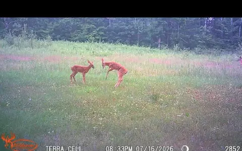 10501 N County Hwy M Hwy, Springbrook, WI 54875 photo 30