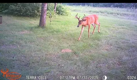 10501 N County Hwy M Hwy, Springbrook, WI 54875 photo 31