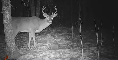 10501 N County Hwy M Hwy, Springbrook, WI 54875 photo 39