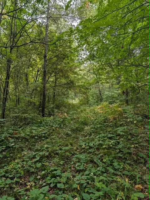 10501 N County Hwy M Hwy, Springbrook, WI 54875 photo 20