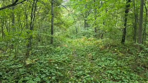 10501 N County Hwy M Hwy, Springbrook, WI 54875 photo 22
