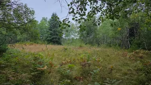 10501 N County Hwy M Hwy, Springbrook, WI 54875 photo 24