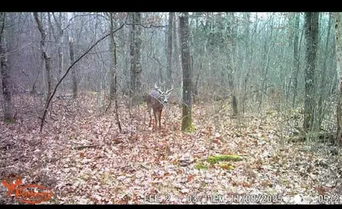 10501 N County Hwy M Hwy, Springbrook, WI 54875 photo 34