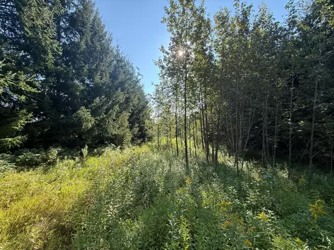 tbd Hwy 2, Brookston, MN 55711 photo 31