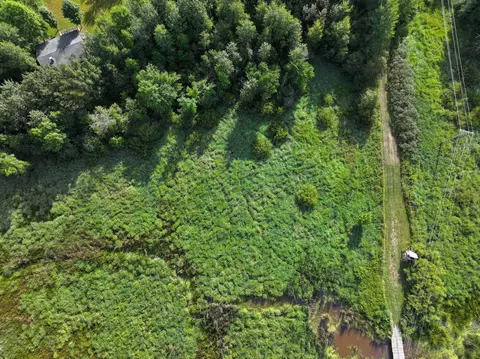 View/Area - 40099 Us-71, Bertha, MN 56437 photo 11 of 14