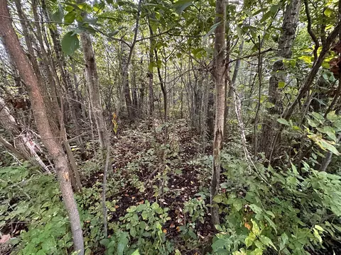 Exterior - 40099 Us-71, Bertha, MN 56437 photo 3 of 13