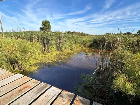 View/Area - 40099 Us-71, Bertha, MN 56437 photo 12 of 14
