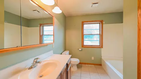 Bath - 263 S Pine St, Dexter, MN 55926 photo 1 of 4