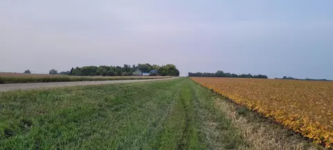 Other - 92883 510th Ave, Windom, MN 56101 photo 13 of 13