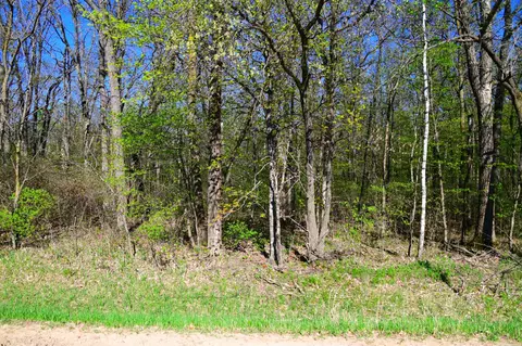 tbd 285 Ave, Browerville, MN 56438 photo 2