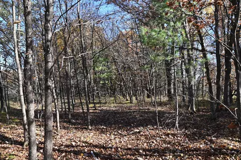 tbd Pacer Loop, Browerville, MN 56438 photo 6