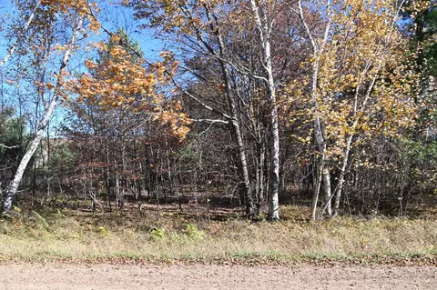 tbd Pacer Loop, Browerville, MN 56438 photo 3
