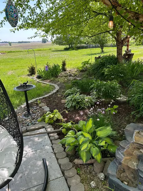 Exterior - 905 210th Ave SW, Appleton, MN 56208 photo 10 of 13