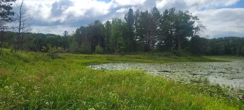 tbd Cedar Rd, Cushing, MN 56443 photo 14